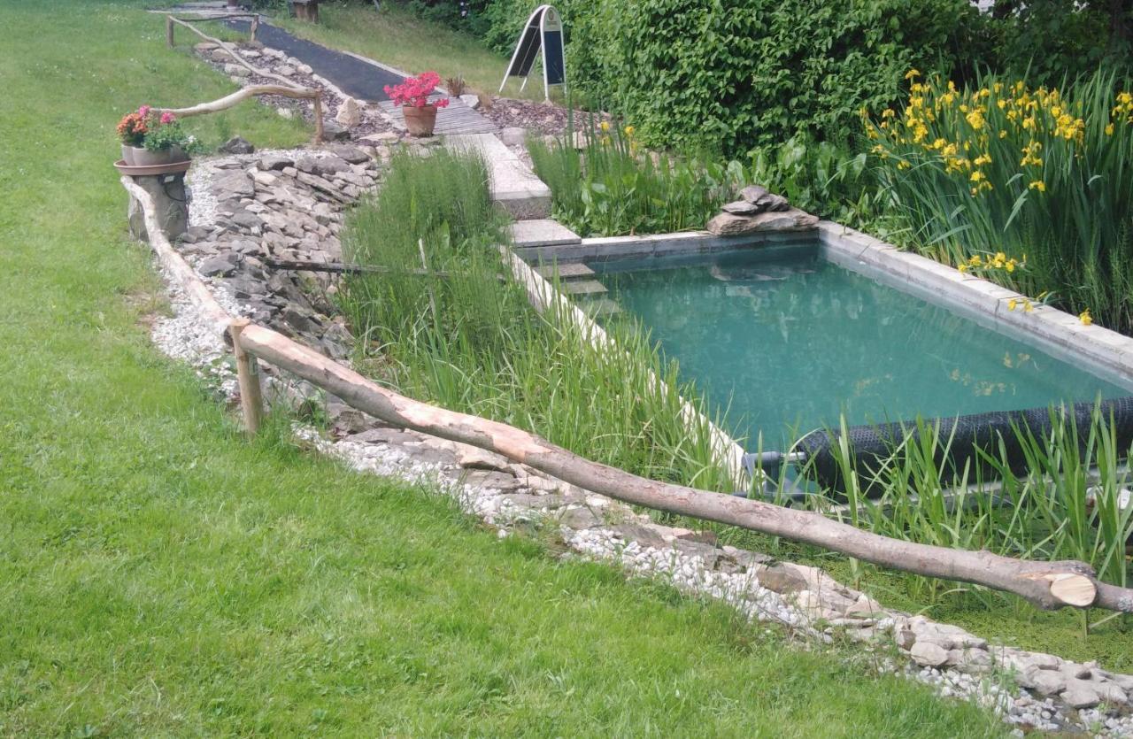 Penzion U Dvojice Нове Место на Мораве Екстериор снимка